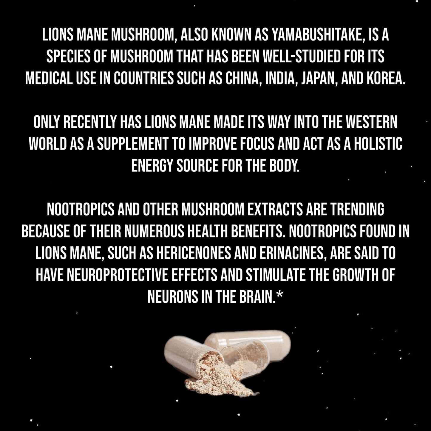 Lion’s Mane Mushroom by Project M